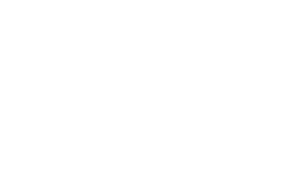 ACEPAnytimeWHT-logo.png